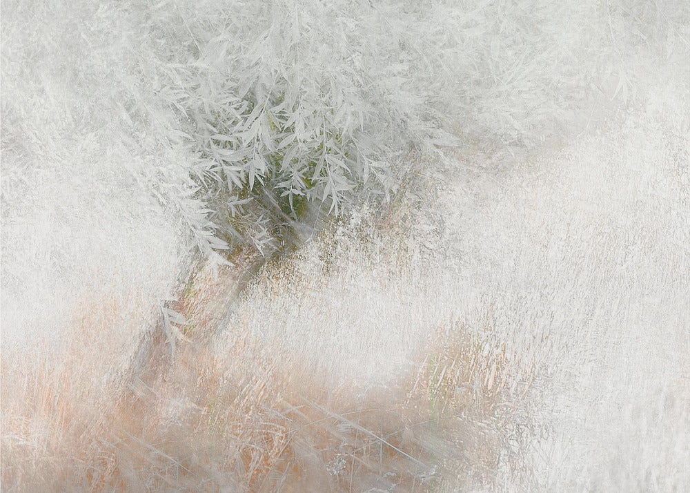 Soft and gentle | Canvas