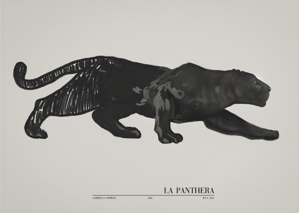 La Panthera (black) | Canvas