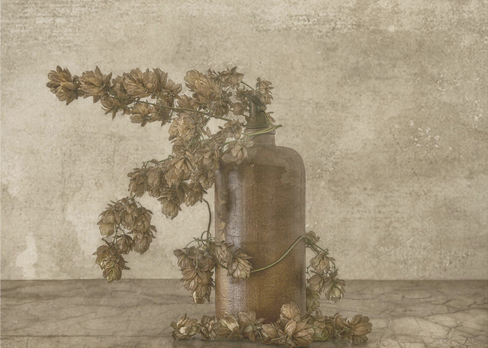 Common Hop 2 | Wallpaper