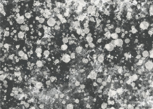 Dynamic Black and White Mystic Dots | Canvas