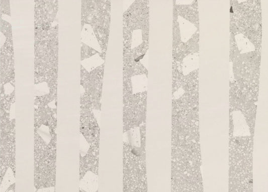 Birch Grove Shadows | Wallpaper