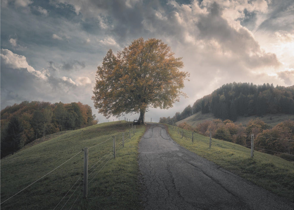 Time After Time | Poster