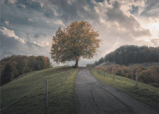 Time After Time | Poster