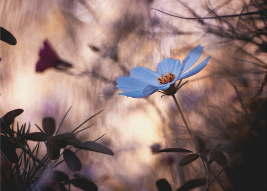 L'indifférence | Poster