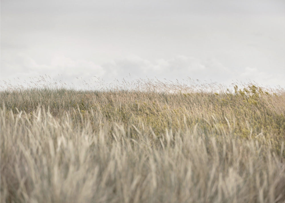 Dunes and Clouds 2 | Poster