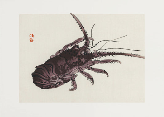 Crayfish | Canvas