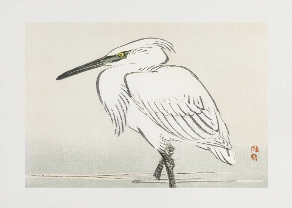 Snowy Egret | Poster