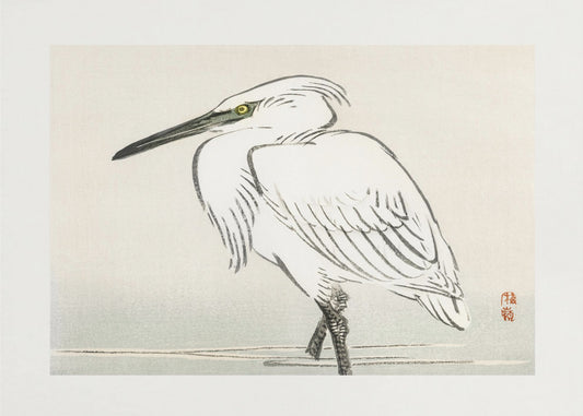 Snowy Egret | Poster