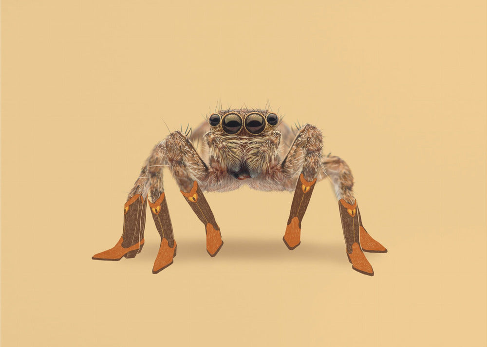 Lydia the Leggiest Cowgirl Spider | Poster