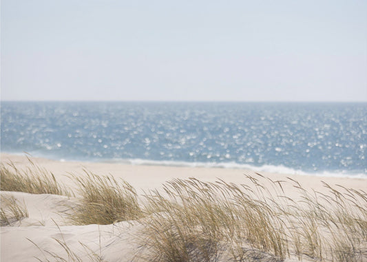 Coast Landscapes 3 | Poster