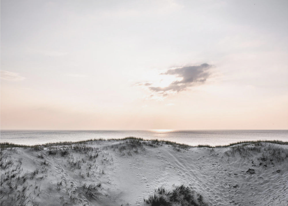 At The Coast 1X | Poster