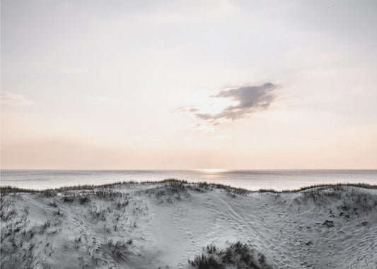 At The Coast 1X | Poster