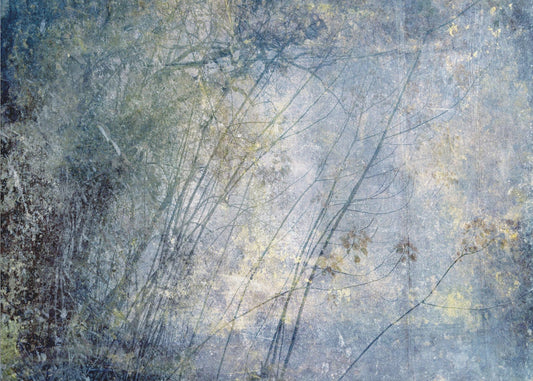 High Sierra I | Poster