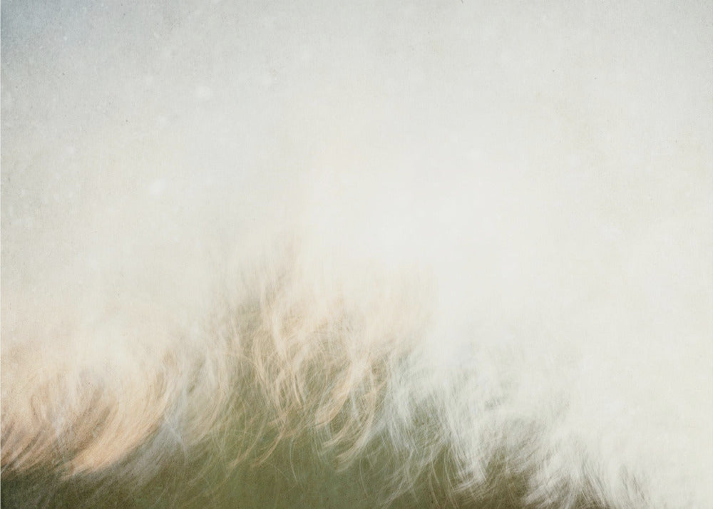 Moving landscape | Poster