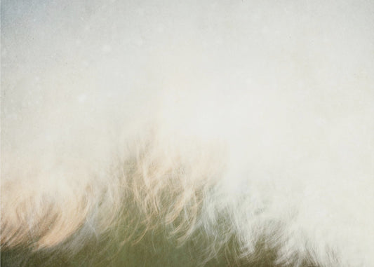 Moving landscape | Canvas