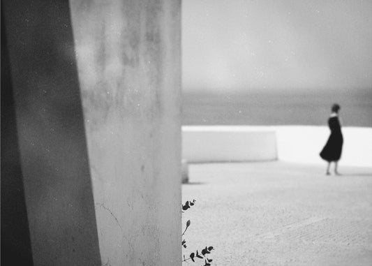 Little branch | Wallpaper