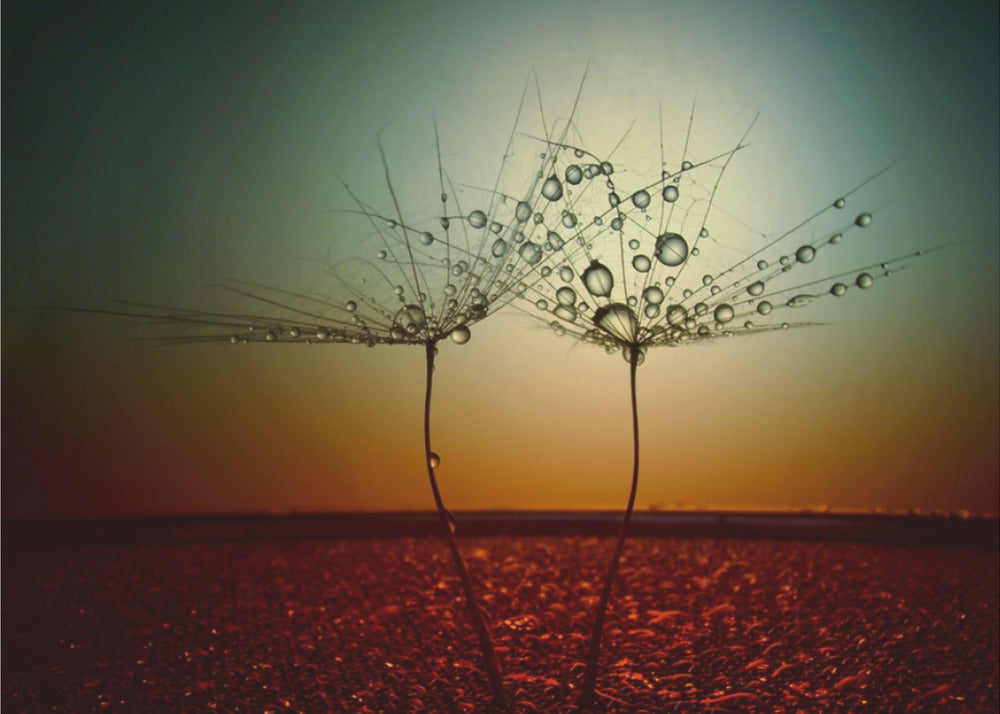 Fire and water | Canvas