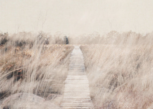 Dreamy landscape | Wallpaper