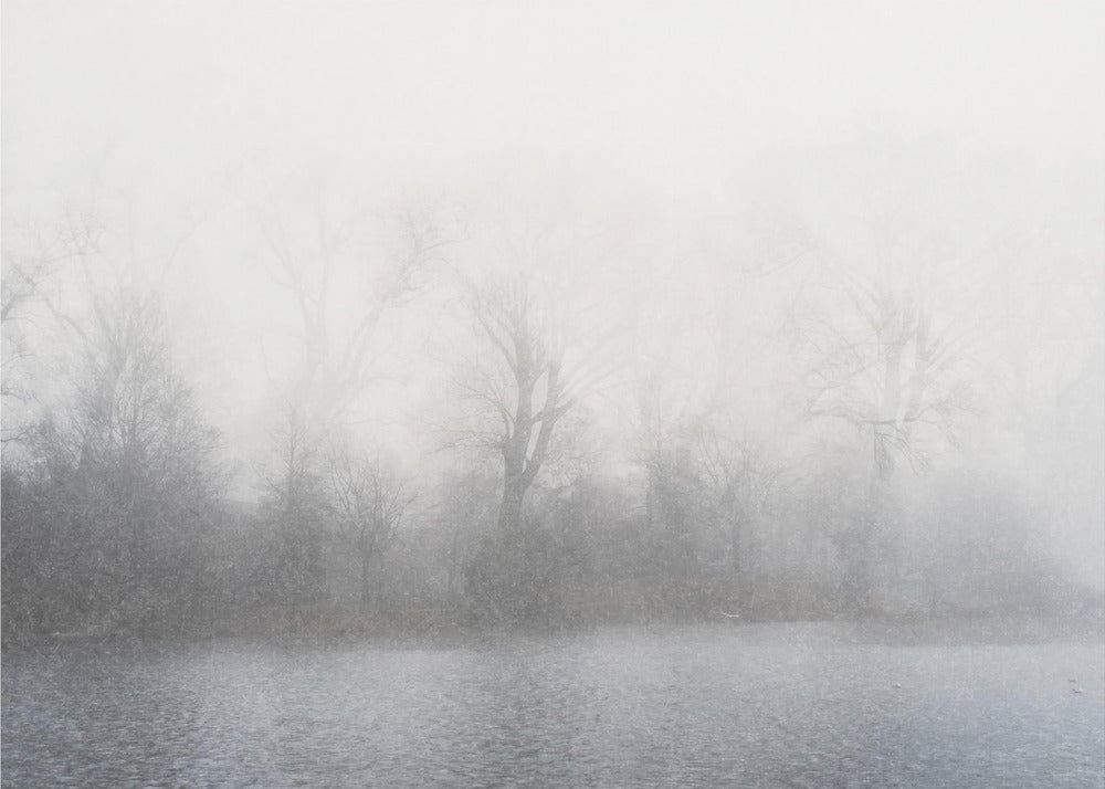 Misty landscape | Canvas