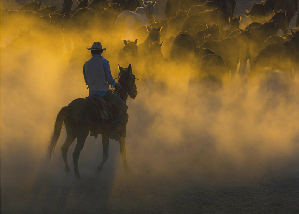 cowboy and horses | Canvas