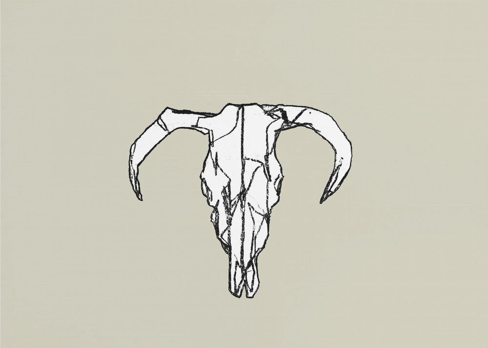 Animal Skull No2 | Canvas