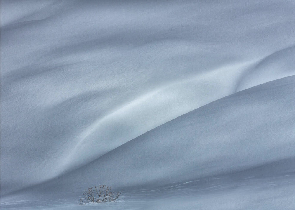 slopes in winter | Poster