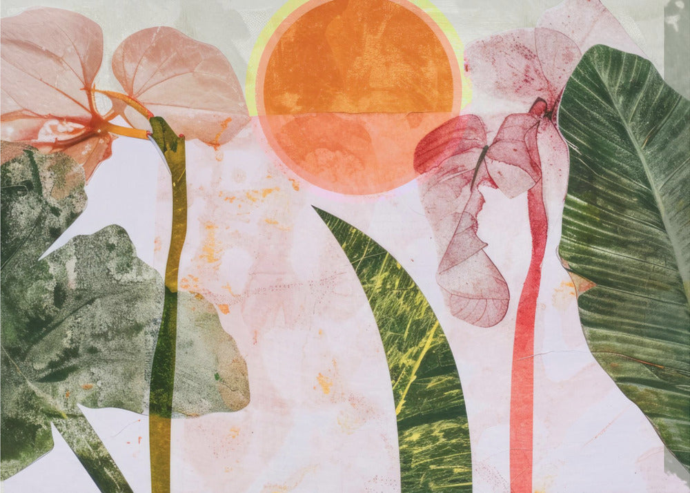 Tropical Sunrise | Wallpaper