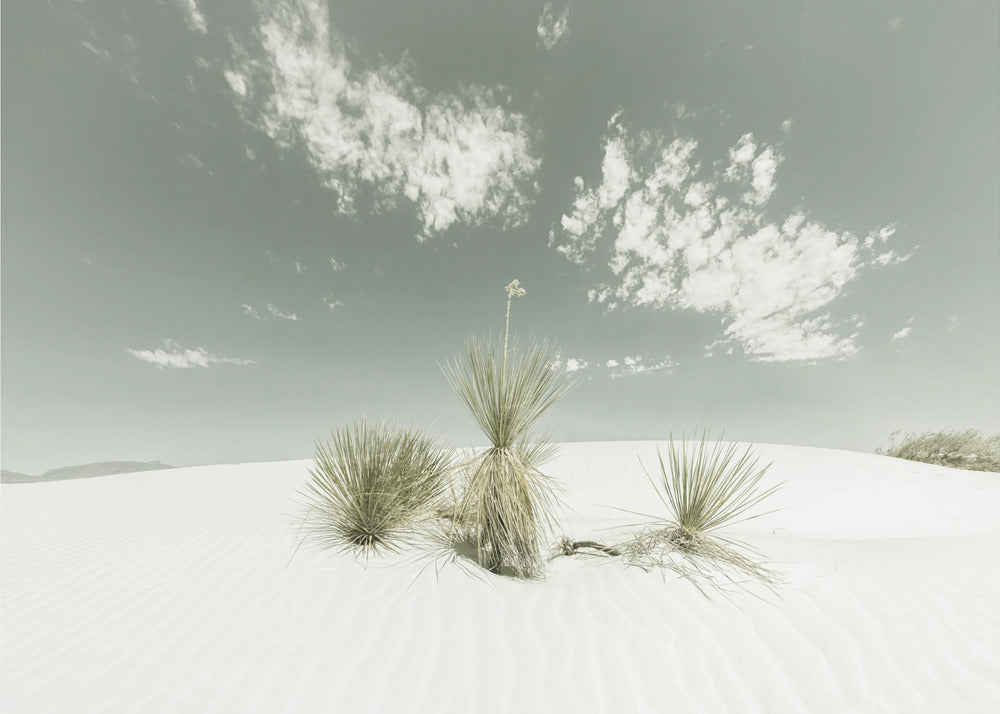 WHITE SANDS Vintage | Poster