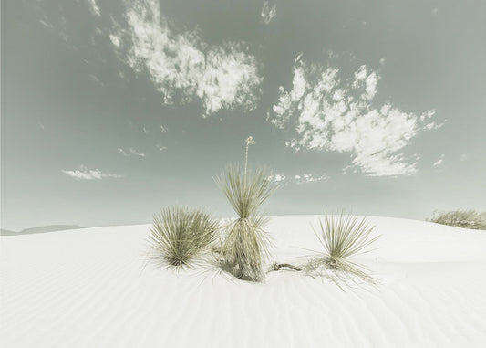 WHITE SANDS Vintage | Poster