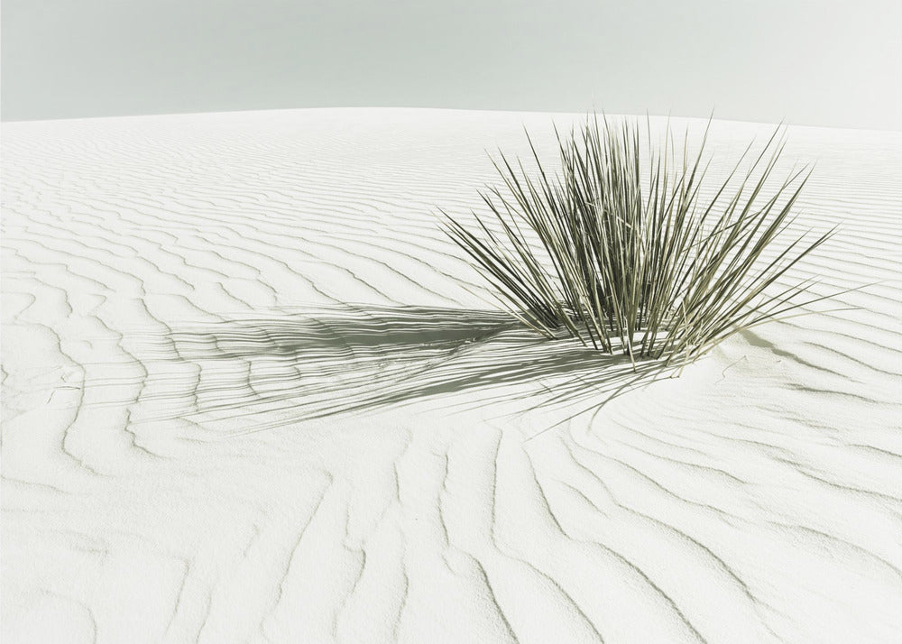 WHITE SANDS Vintage Dune | Poster