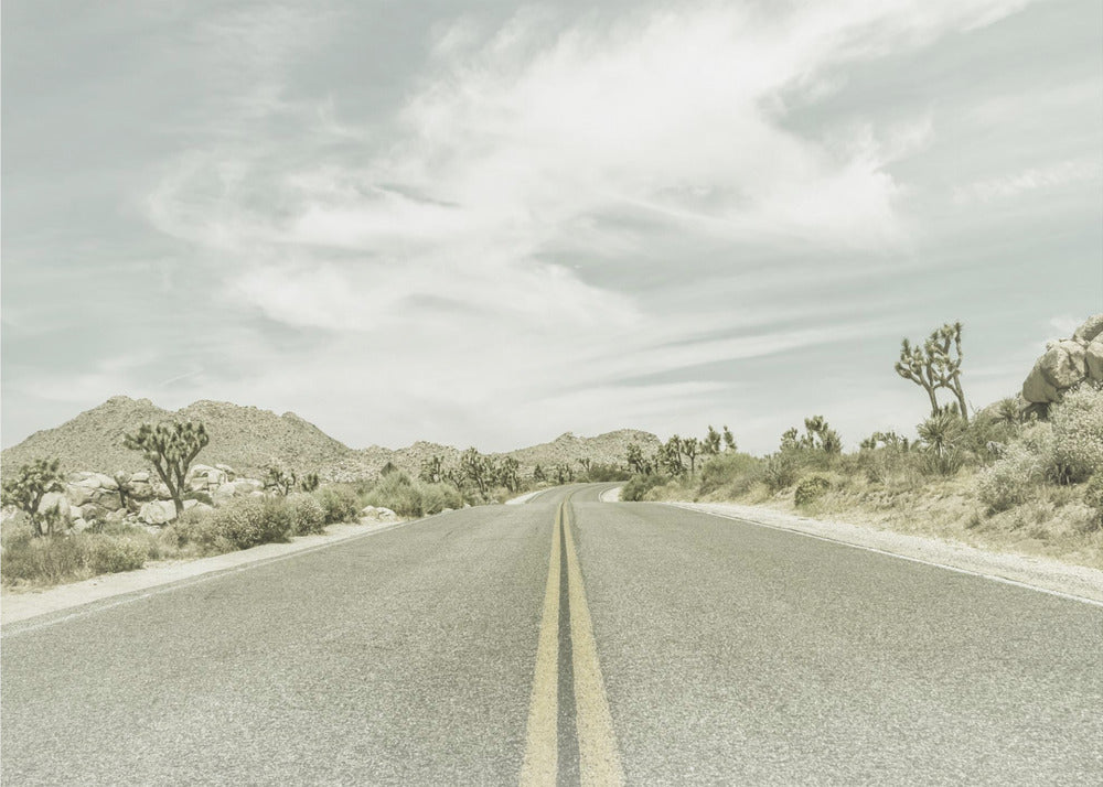 Vintage Joshua Trees, Park Boulevard | Poster