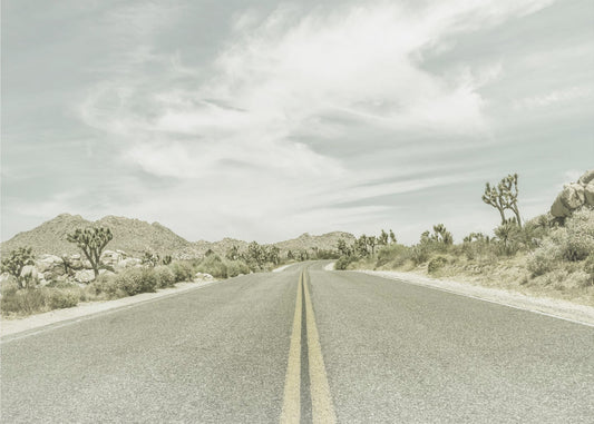 Vintage Joshua Trees, Park Boulevard | Poster