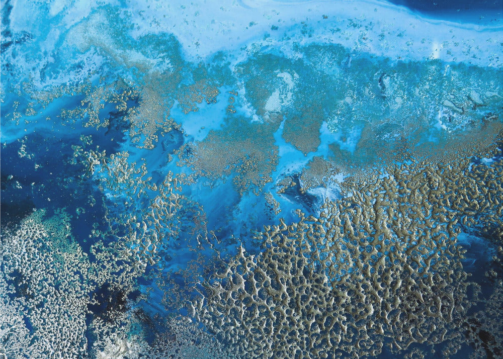 Coastal art - Revitalize | Poster