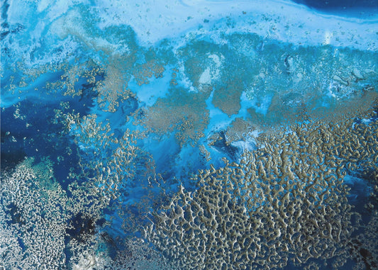 Coastal art - Revitalize | Poster