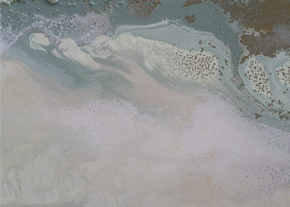 Path of Transformation | Canvas