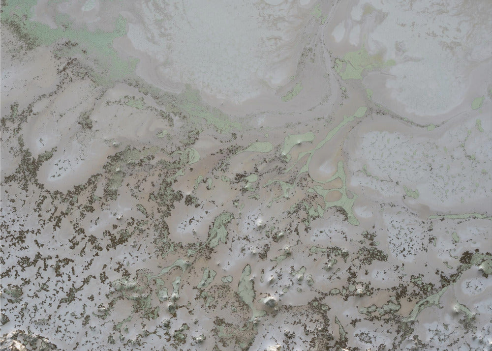 Reflective - Life and Souls | Canvas