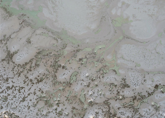 Reflective - Life and Souls | Canvas