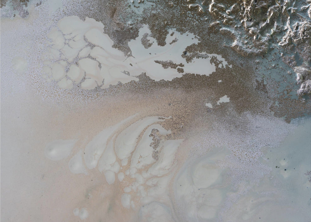 Life Unfolding | Canvas