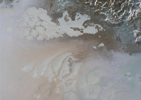 Life Unfolding | Canvas