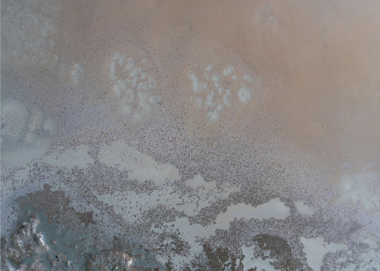 Edge of Life | Poster