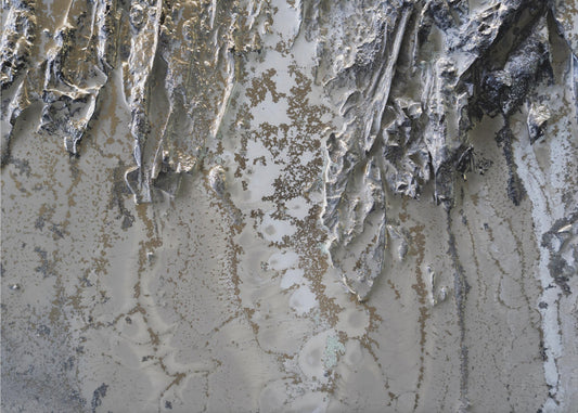 Reflective - Shelter | Poster