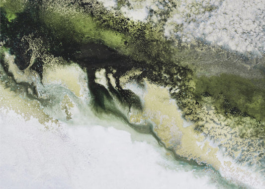 Wonders of the Wild Tif | Canvas