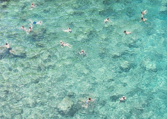 Swimming in the sea | Canvas