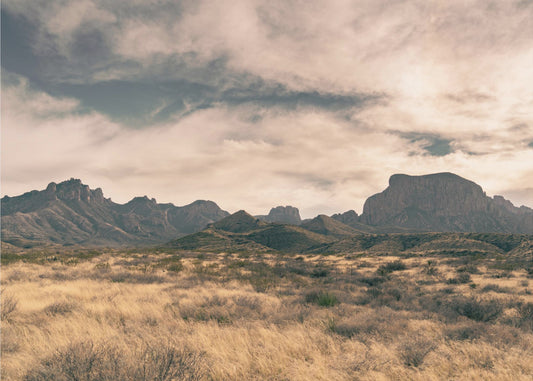 Isolation (1 of 1) | Poster