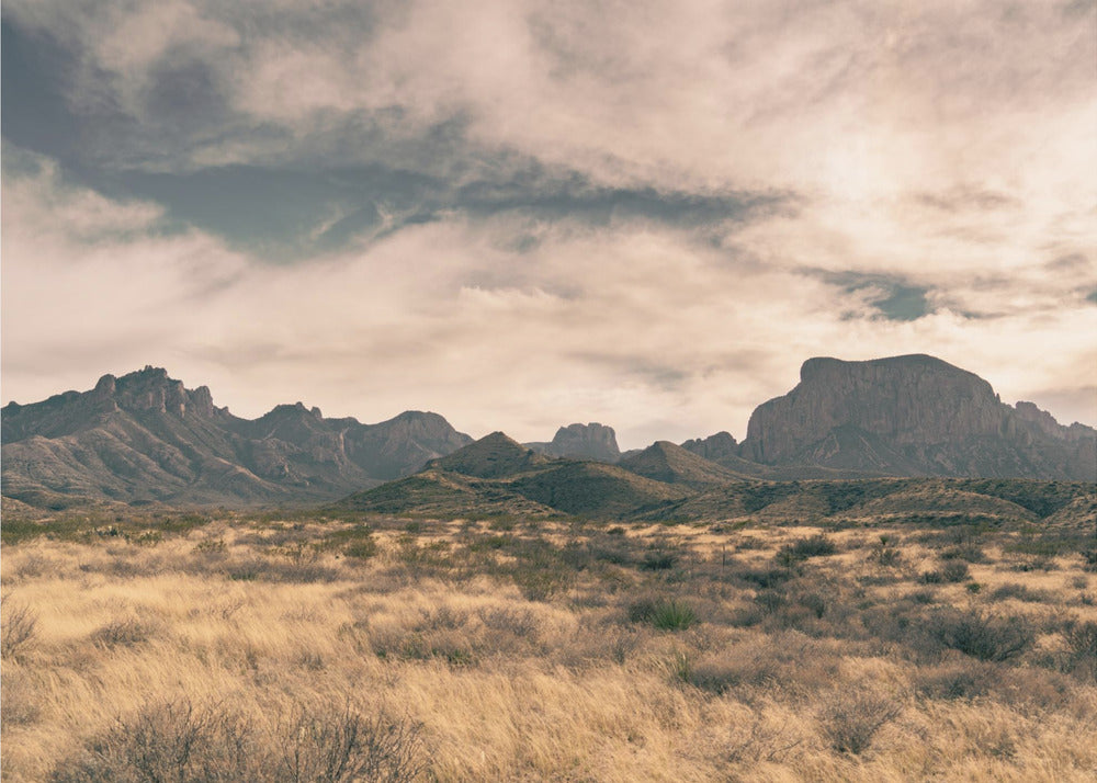 Isolation (1 of 1) | Canvas