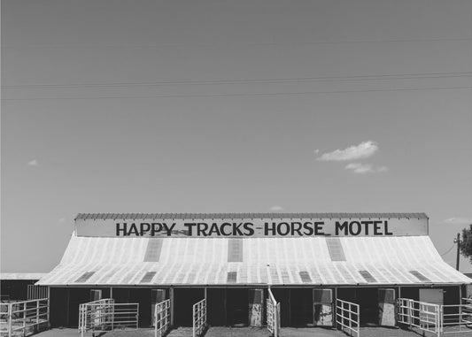 Horse Motel | Canvas