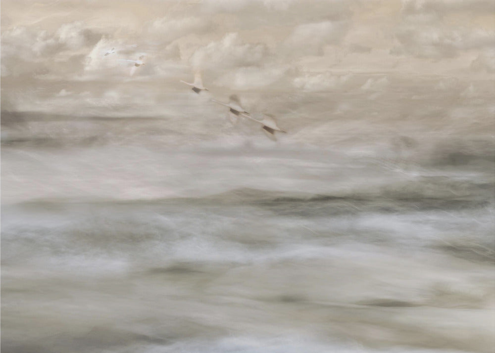 Swans over sea | Canvas