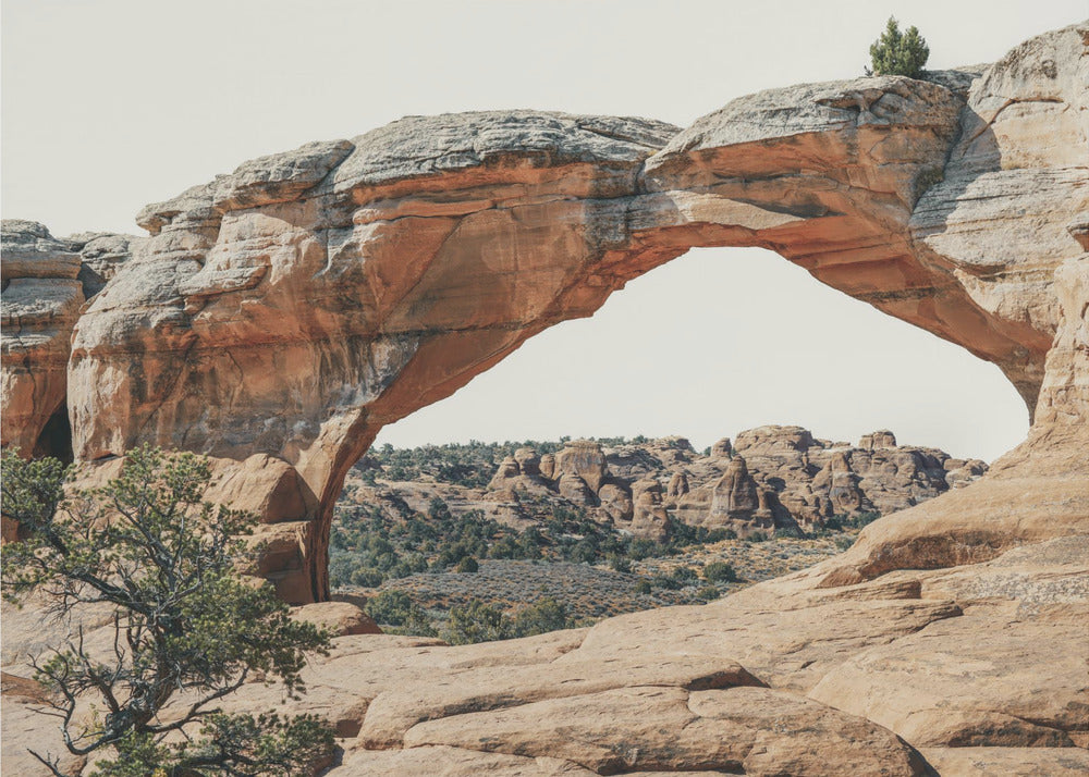 View to the West | Poster