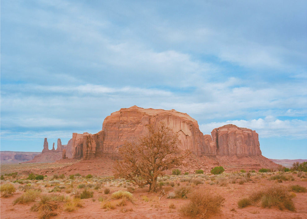 Monument Valley IX | Canvas
