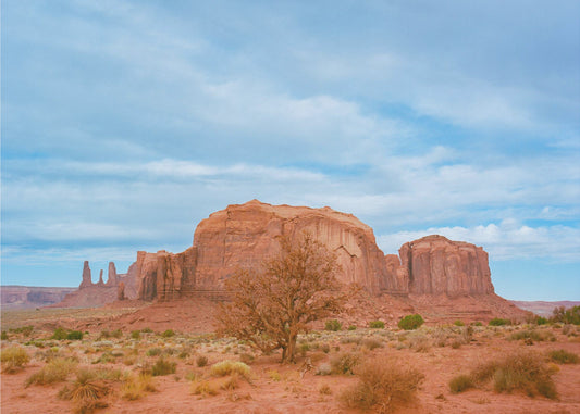 Monument Valley IX | Canvas